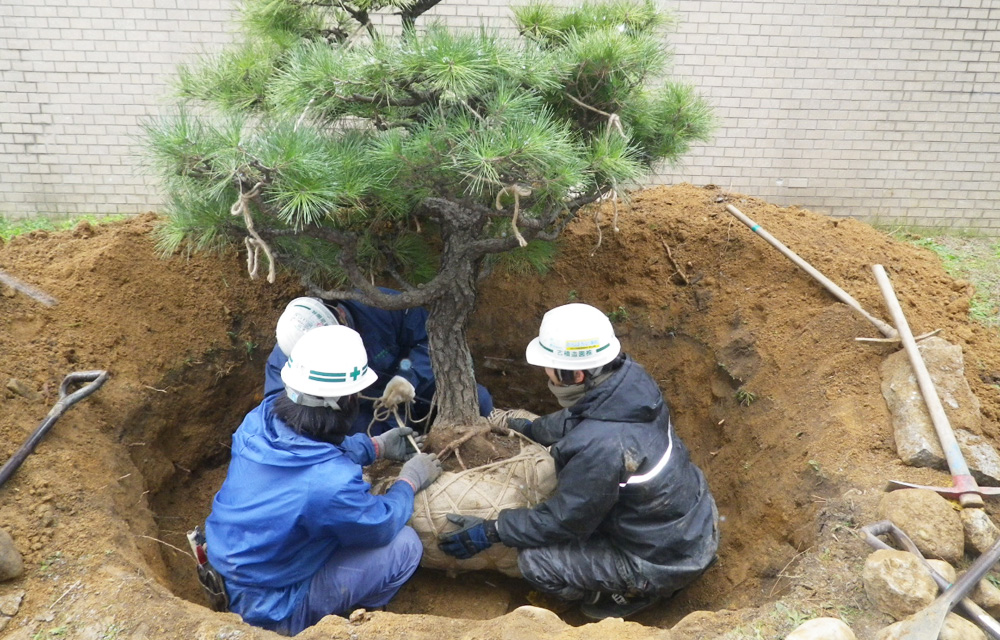 造園工事